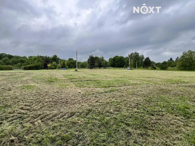 Pronájem pole, Doubrava, 7056 m2