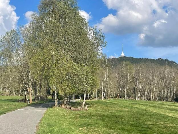 Prodej pozemku pro bydlení, Osečná, 1766 m2