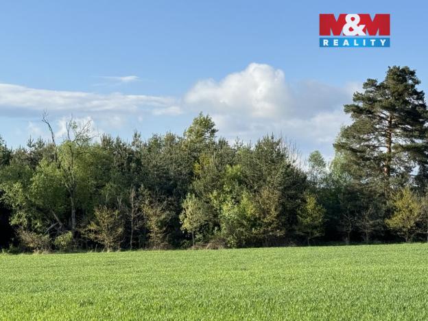 Prodej komerčního pozemku, Homole, 10254 m2