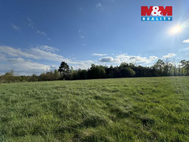 Prodej komerčního pozemku, Homole, 10254 m2