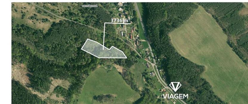 Prodej lesa, Dolní Krupá, 3736 m2