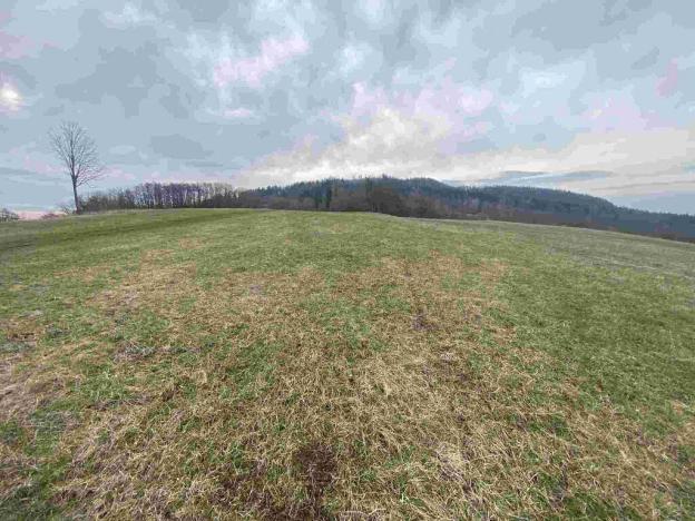 Prodej pozemku, Mírová pod Kozákovem - Vesec, 2000 m2