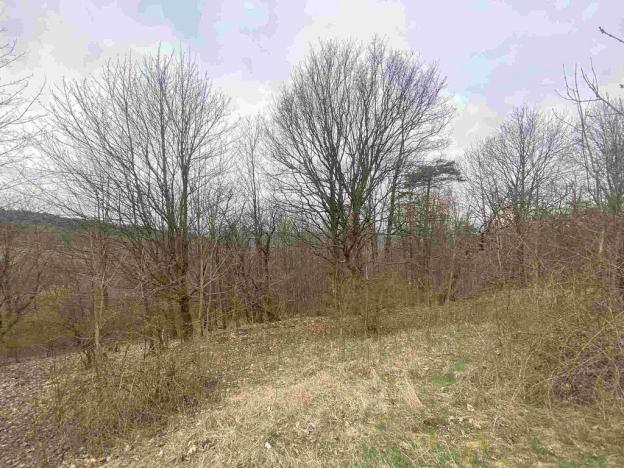 Prodej pozemku, Mírová pod Kozákovem - Vesec, 2000 m2