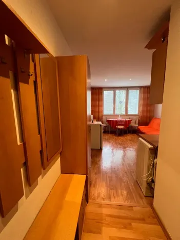 Pronájem bytu 1+1, Karlovy Vary, Maďarská, 36 m2