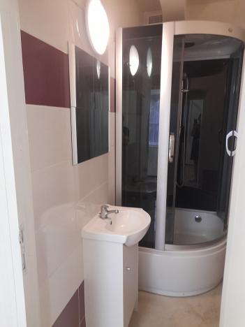 Pronájem bytu 1+1, Olomouc, Smetanova, 45 m2