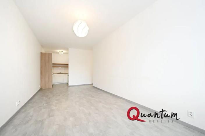 Pronájem bytu 2+kk, Praha, Remízková, 53 m2