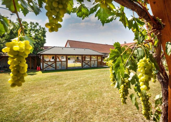 Prodej rodinného domu, Žabovřesky, 950 m2