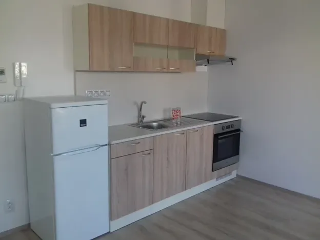 Pronájem bytu 1+kk, Brno, Kigginsova, 47 m2