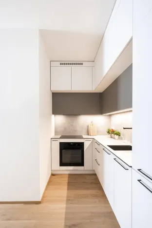 Prodej bytu 2+kk, Praha - Břevnov, Pod Drinopolem, 60 m2