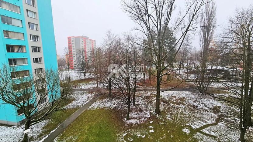 Pronájem bytu 1+1, Ostrava, Ivana Sekaniny, 36 m2