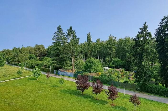 Pronájem bytu 3+kk, České Budějovice, Pasovská, 84 m2