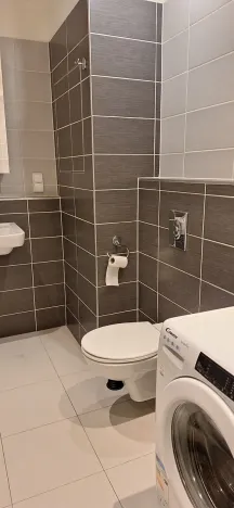 Pronájem bytu 1+kk, Brno, U Leskavy, 34 m2