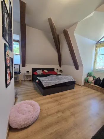 Prodej bytu 3+kk, Jemnice, Tyršova, 109 m2