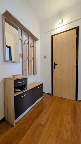 Pronájem bytu 2+1, Olomouc, Schweitzerova, 56 m2