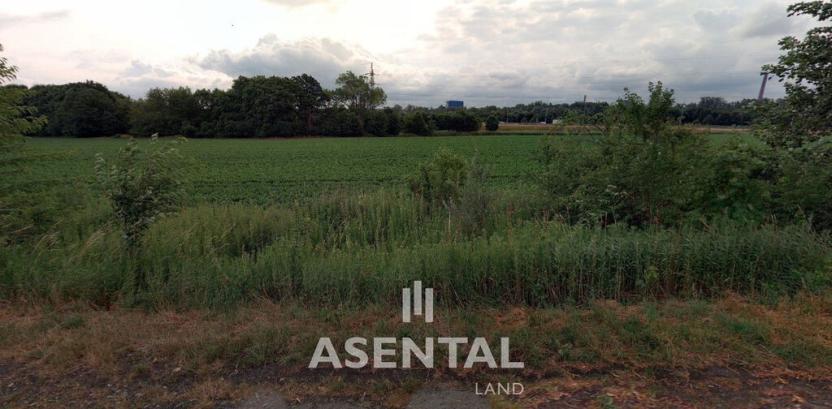 Prodej pole, Ostrava - Hošťálkovice, 4811 m2