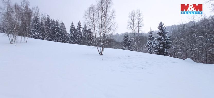 Prodej pozemku, Dlouhý Most, 8531 m2