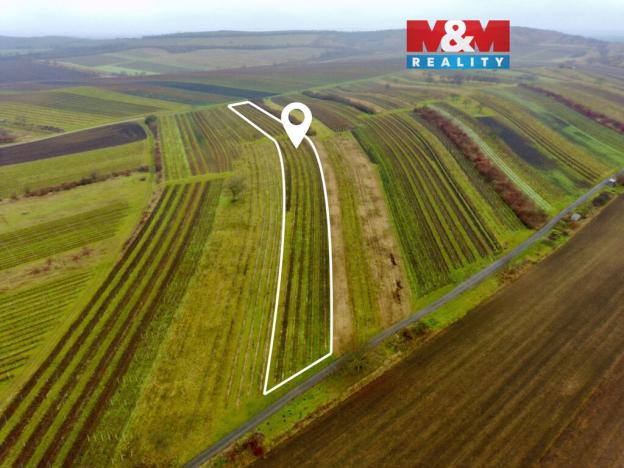 Prodej pole, Dolní Dunajovice, 6580 m2