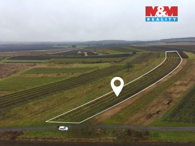 Prodej pole, Dolní Dunajovice, 6580 m2