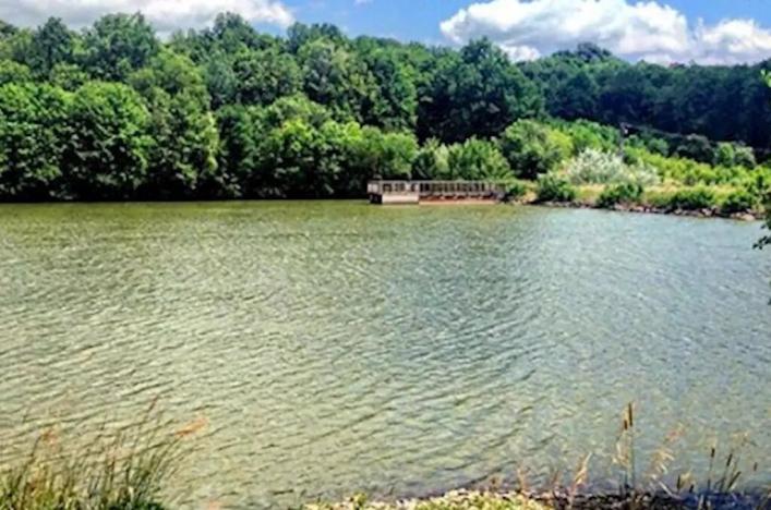 Prodej louky, Velký Ořechov, 21368 m2