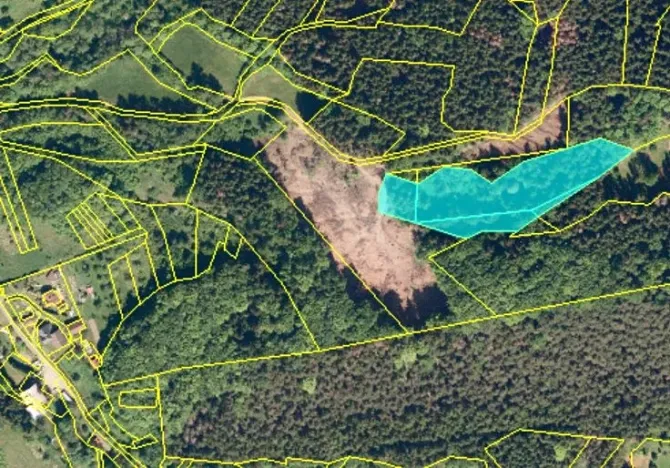 Prodej louky, Růžďka, 6506 m2