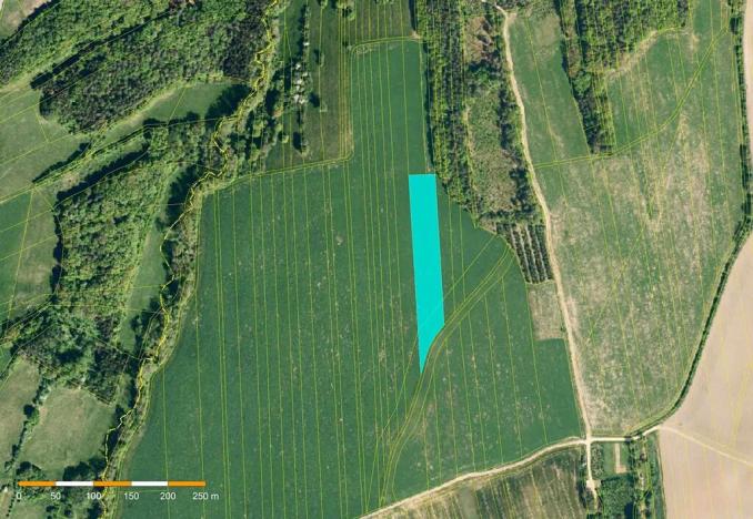 Prodej pole, Sehradice, 8080 m2