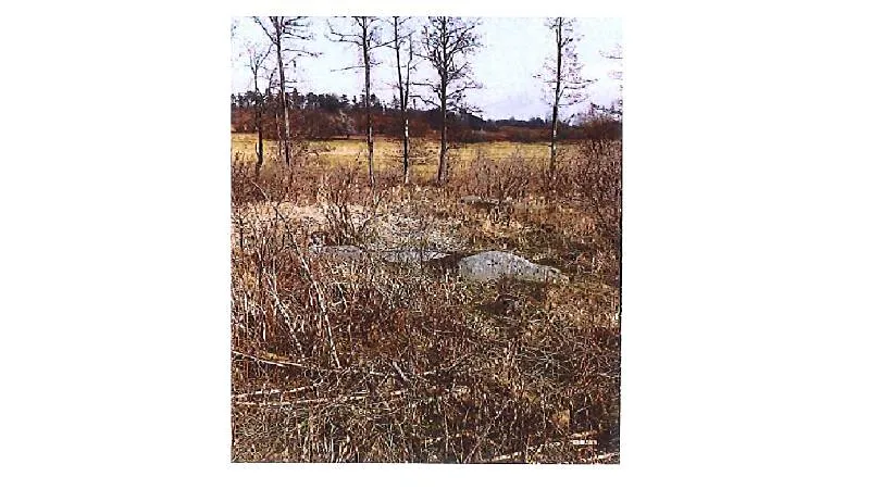 Prodej lesa, Přeckov, 8700 m2