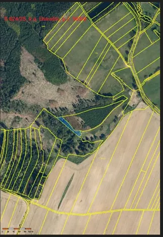 Prodej lesa, Ústrašín, 1179 m2