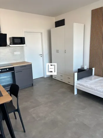 Pronájem bytu 1+kk, Olomouc, Aloise Rašína, 31 m2