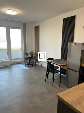 Pronájem bytu 1+kk, Olomouc, Aloise Rašína, 31 m2