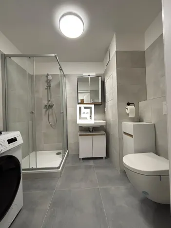 Pronájem bytu 1+kk, Olomouc, Aloise Rašína, 31 m2