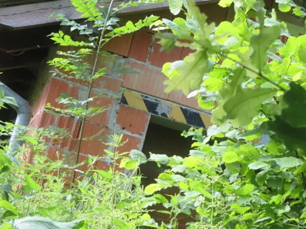 Dražba zahrady, Ústí nad Orlicí, 1390 m2