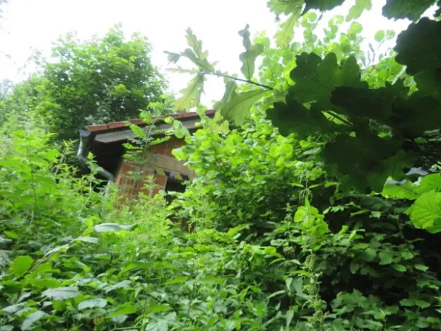 Dražba zahrady, Ústí nad Orlicí, 1390 m2