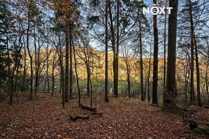 Prodej pozemku pro bydlení, Malá Skála, 3487 m2