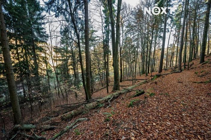 Prodej pozemku pro bydlení, Malá Skála, 3487 m2