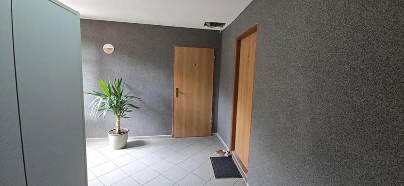 Pronájem bytu 1+1, Česká Lípa, 45 m2