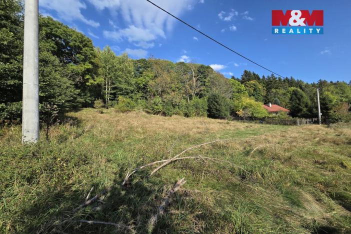 Prodej pozemku pro bydlení, Merklín - Lípa, 1763 m2