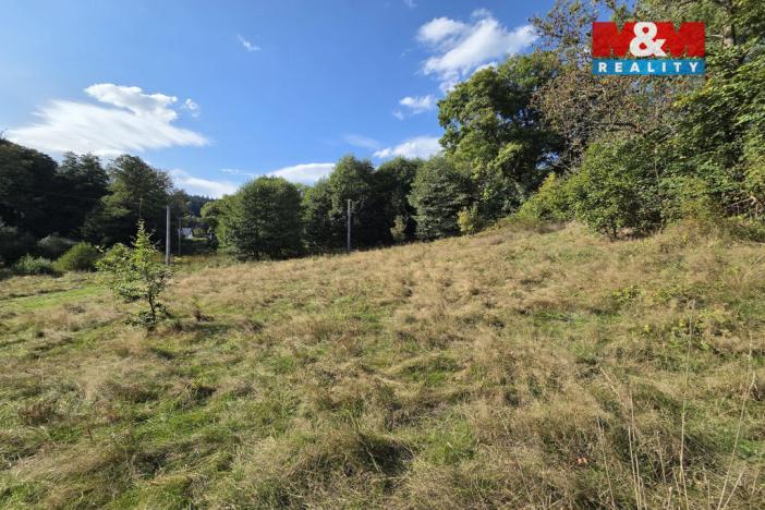 Prodej pozemku pro bydlení, Merklín - Lípa, 1763 m2