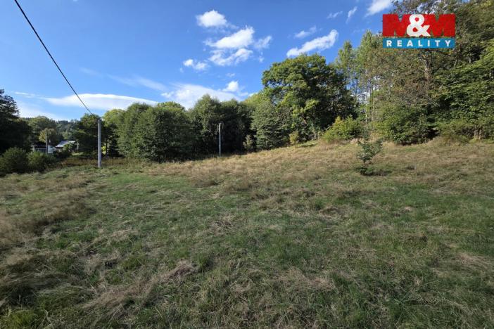 Prodej pozemku pro bydlení, Merklín - Lípa, 1763 m2