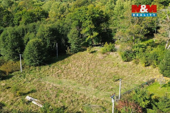 Prodej pozemku pro bydlení, Merklín - Lípa, 1763 m2