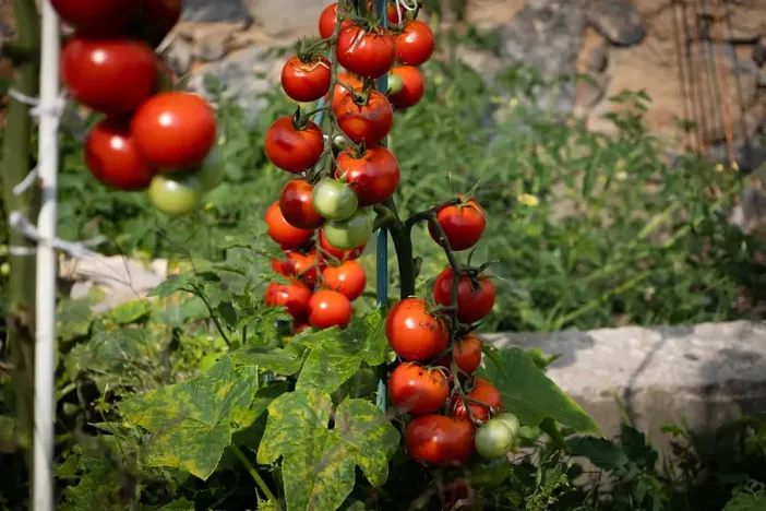 Prodej vícegeneračního domu, Bžany, 240 m2