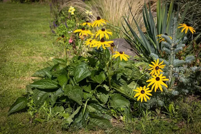 Prodej rodinného domu, Bžany, 240 m2