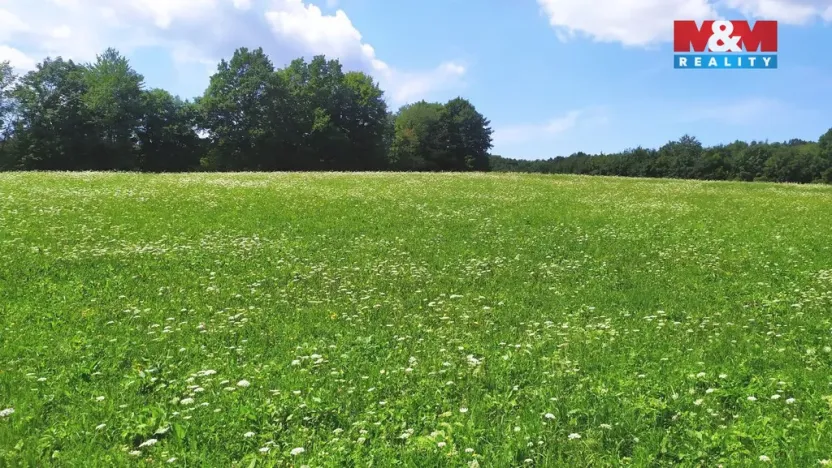 Prodej louky, Štramberk, 4766 m2