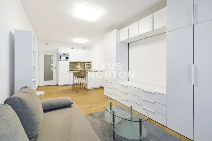 Pronájem bytu 1+kk, Praha - Smíchov, Holečkova, 34 m2