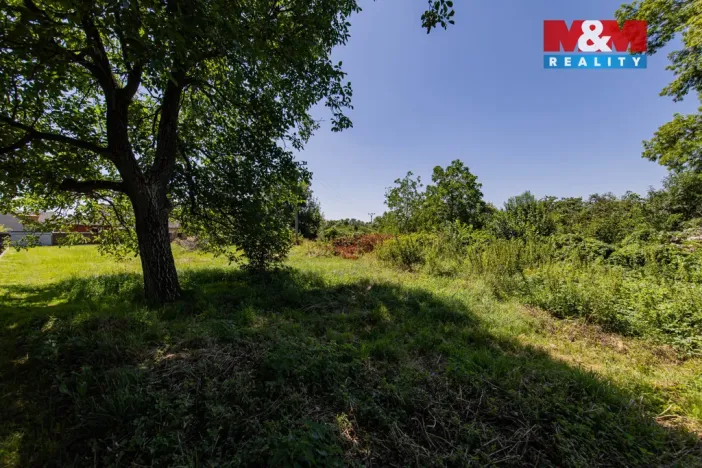 Prodej rodinného domu, Dlouhá Loučka, Úzká, 160 m2