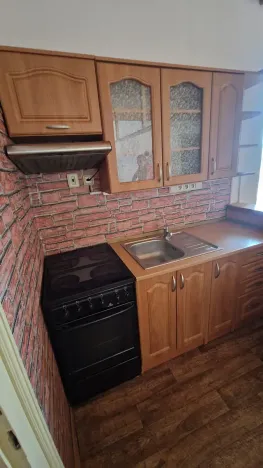 Pronájem bytu 2+kk, Dolní Branná, 65 m2