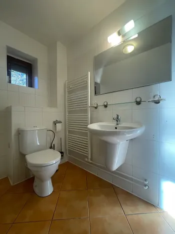 Pronájem rodinného domu, Zvole, J. Štulíka, 260 m2