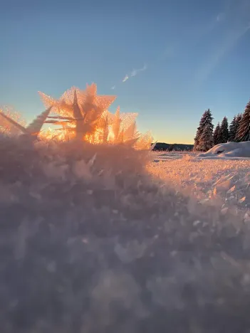 Prodej rodinného domu, Kvilda, 408 m2