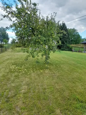 Prodej vícegeneračního domu, Ostrava, 250 m2