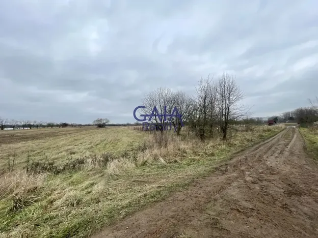 Prodej pole, Veselí nad Moravou, 3405 m2