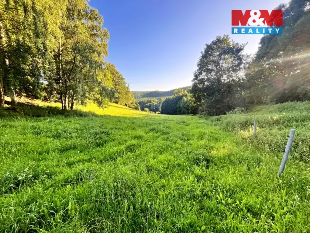 Prodej louky, Teplice nad Metují - Horní Teplice, 5449 m2